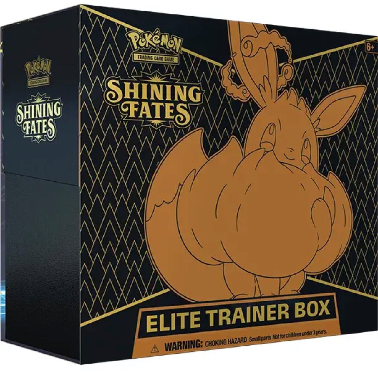 Shining Fates Elite Trainer Box