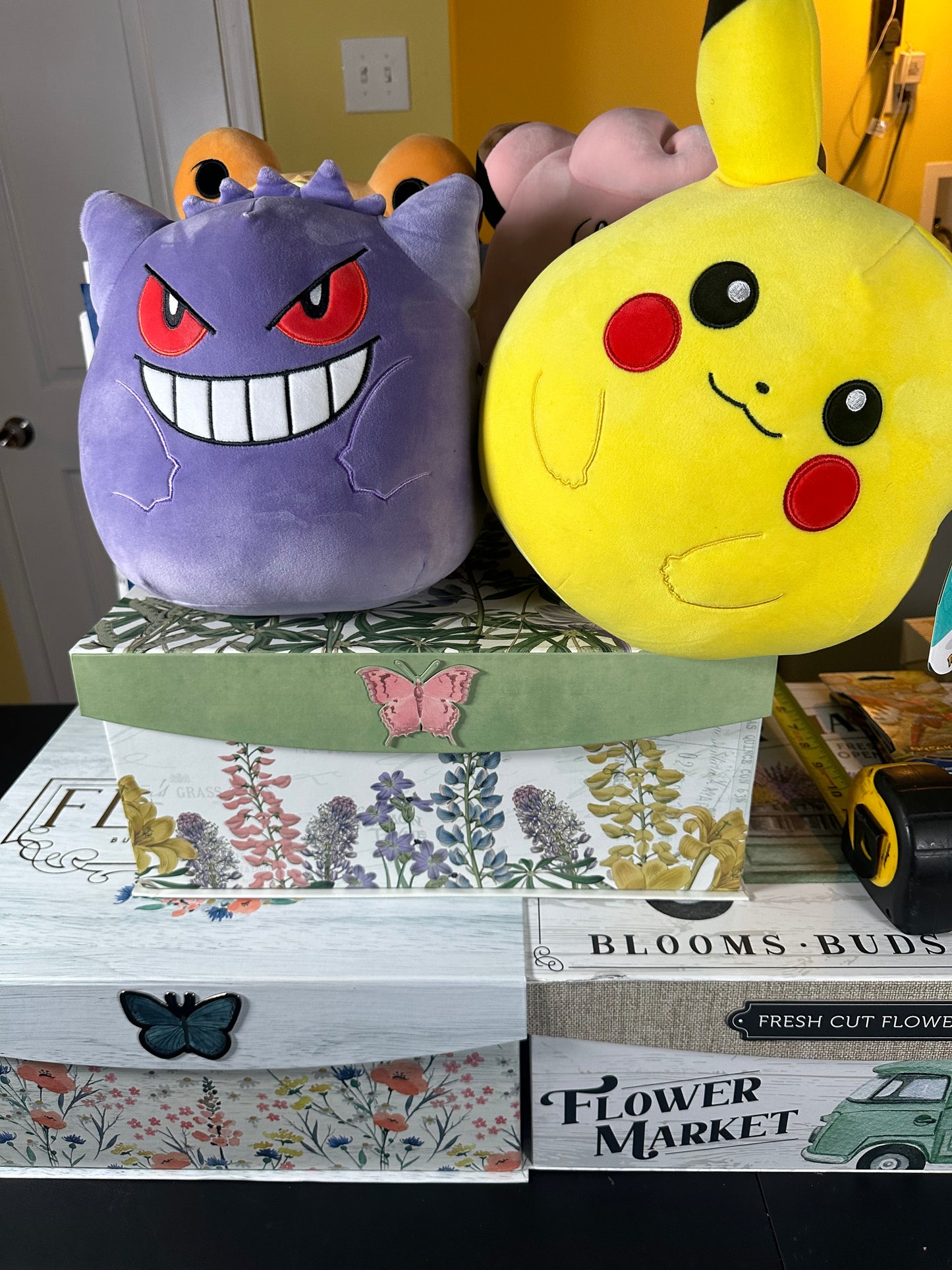 Pokémonphilly Plush Mystery Box!