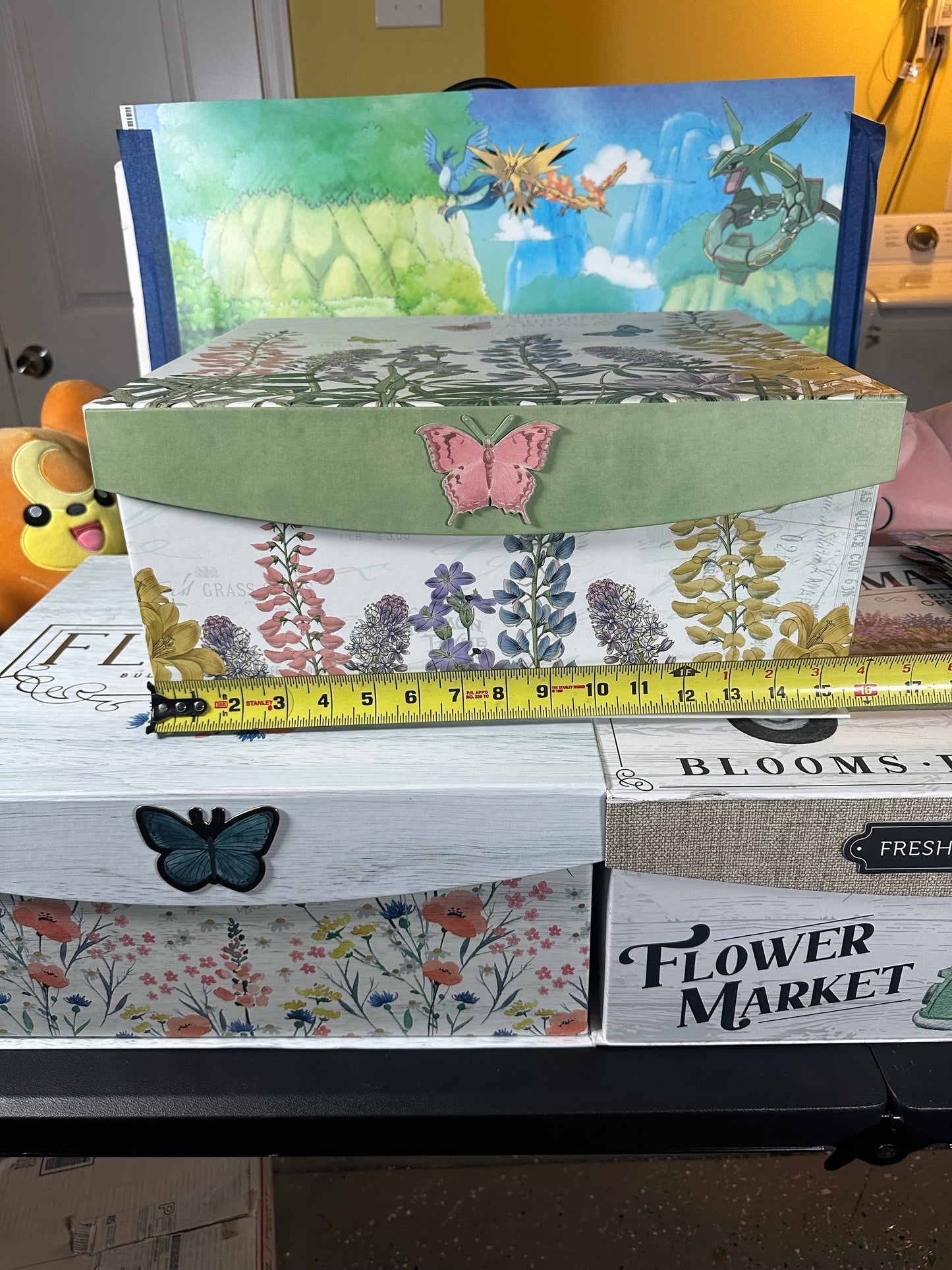 Pokémonphilly Plush Mystery Box!